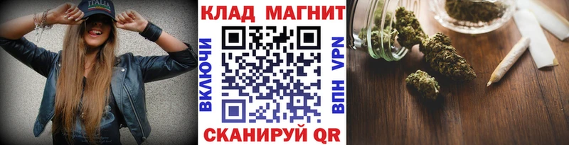 Какие есть наркотики Новоузенск ГАШ  Alpha-PVP  ОМГ ОМГ зеркало  Меф  Каннабис  Cocaine  Псилоцибиновые грибы 